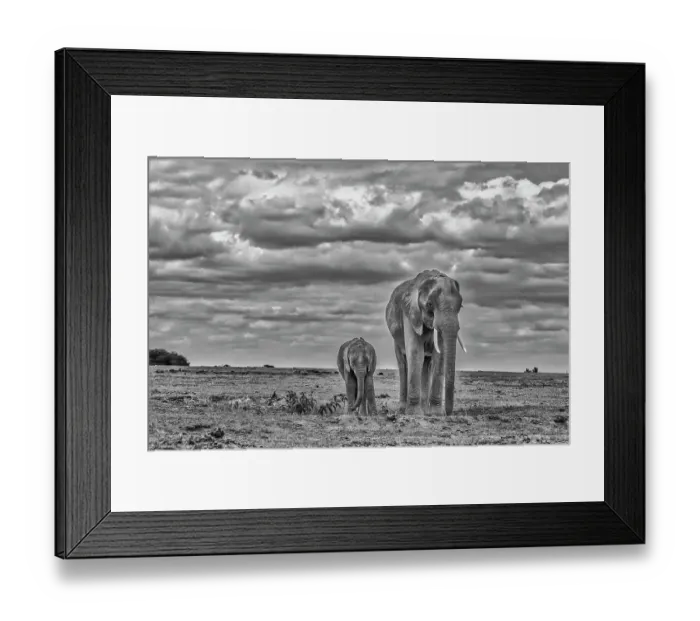 Framed Print : Mother and calf Amboseli elephants, Amboseli National Park, Africa Framed Print : Mother and calf Amboseli elephants, Amboseli National Park, Africa