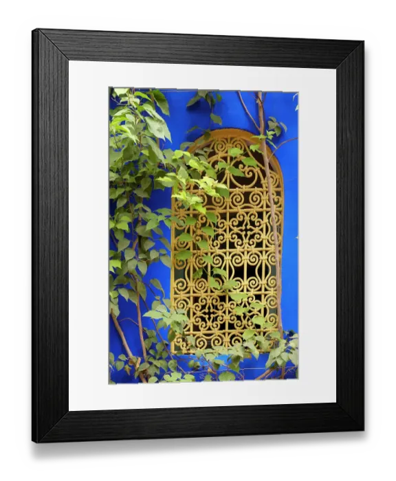 Framed Print : Marrakech, Morocco. Plant life with cobalt blue backdrop Framed Print : Marrakech, Morocco. Plant life with cobalt blue backdrop