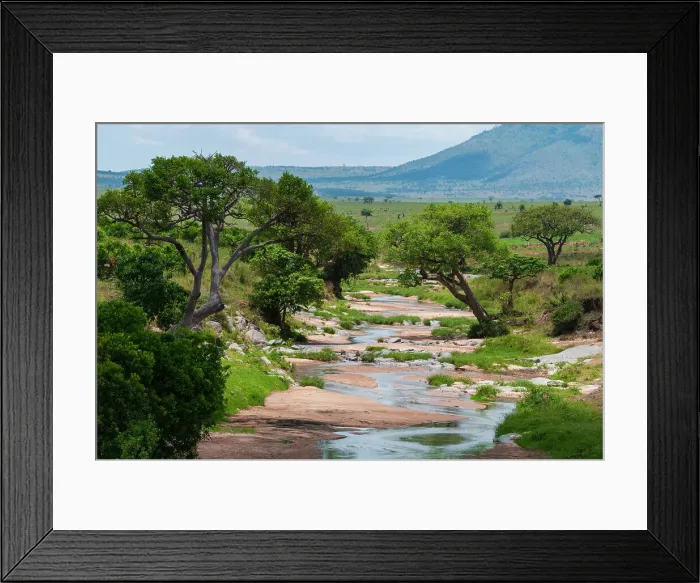 Framed Print : Trees growing along the banks of the Talek River. Masai Mara National Reserve, Kenya Framed Print : Trees growing along the banks of the Talek River. Masai Mara National Reserve, Kenya