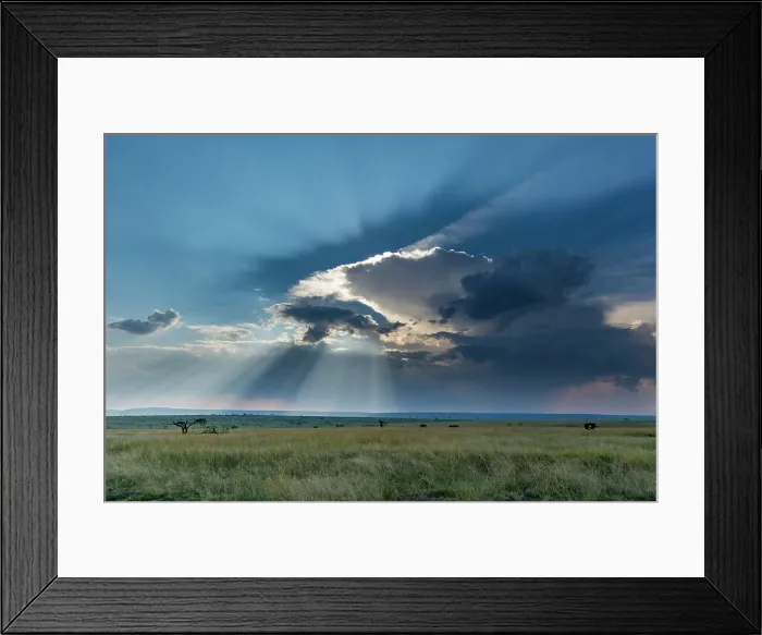 Framed Print : Masai Mara National Reserve in Kenya. Masai Mara National Reserve, Kenya