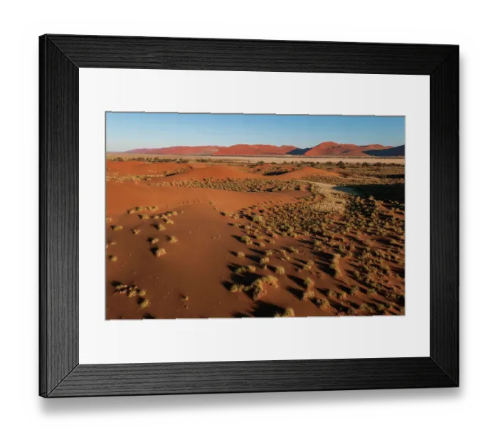 Framed Print : An aerial view of red sand dunes and vegetation in the Namib desert. Namib Naukluft Park, Namibia Framed Print : An aerial view of red sand dunes and vegetation in the Namib desert. Namib Naukluft Park, Namibia