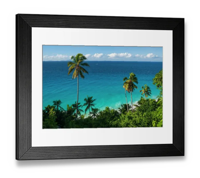Framed Print : A high angle view of palm trees and tropical vegetation on a beach in the Indian Ocean. Fregate Island, Seychelles Framed Print : A high angle view of palm trees and tropical vegetation on a beach in the Indian Ocean. Fregate Island, Seychelles