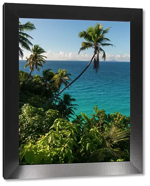 A high angle view of palm trees and tropical vegetation on a beach in the Indian Ocean. Fregate Island, Seychelles