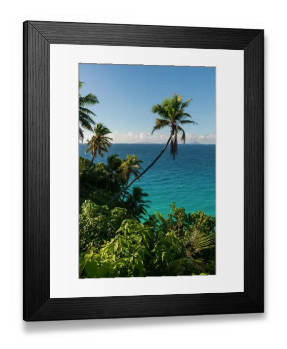 Framed Print : A high angle view of palm trees and tropical vegetation on a beach in the Indian Ocean. Fregate Island, Seychelles Framed Print : A high angle view of palm trees and tropical vegetation on a beach in the Indian Ocean. Fregate Island, Seychelles