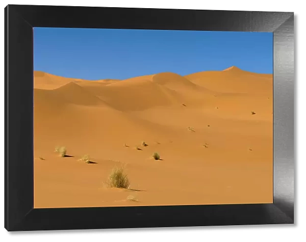 Sand dunes in the Sahara desert. Akakus, Fezzan, Libya