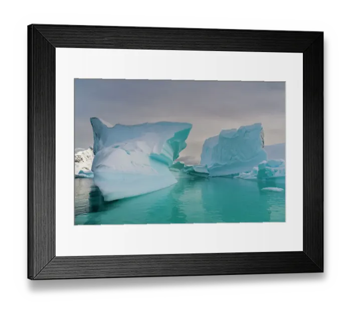 Framed Print : Skontorp cove, Paradise Bay, Antarctica