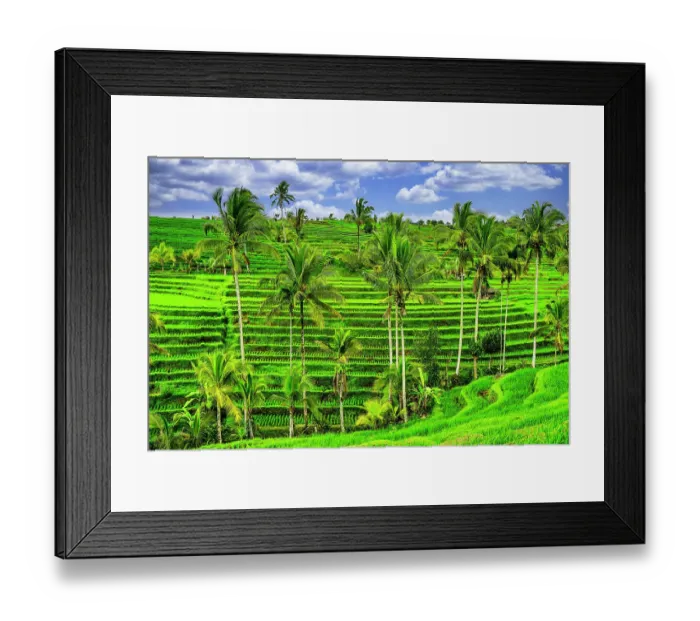 Framed Print : Jatiluwih rice terrace, a popular tourist experience near the center of Bali close to Ubud Framed Print : Jatiluwih rice terrace, a popular tourist experience near the center of Bali close to Ubud