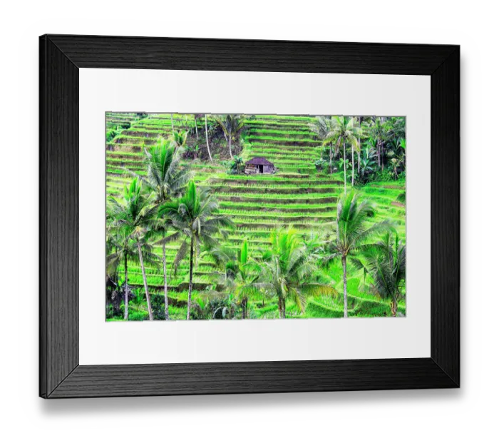 Framed Print : Jatiluwih rice terrace, a popular tourist experience near the center of Bali close to Ubud Framed Print : Jatiluwih rice terrace, a popular tourist experience near the center of Bali close to Ubud