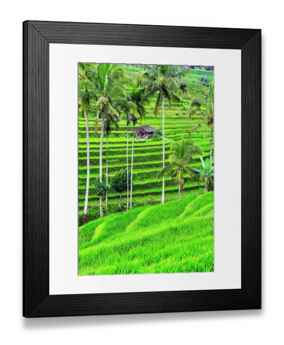 Framed Print : Jatiluwih rice terrace, a popular tourist experience near the center of Bali close to Ubud