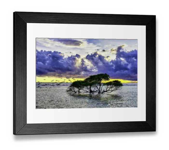 Framed Print : Gili Trawangan Island off the coast of Lombok, Indonesia. White sand, clear warm water with a laid back tropical atmosphere Framed Print : Gili Trawangan Island off the coast of Lombok, Indonesia. White sand, clear warm water with a laid back tropical atmosphere