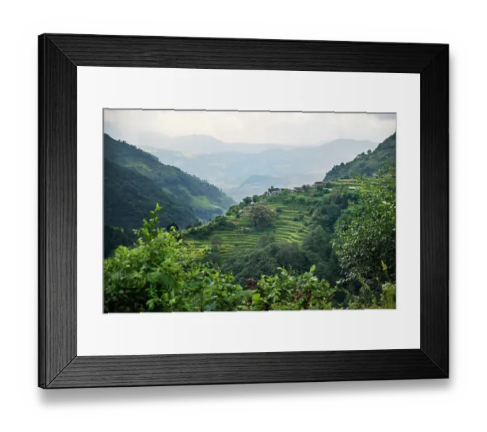 Framed Print : Nepal, viewpoint from Mardi Himal Trek. Lush terraced rice fields Framed Print : Nepal, viewpoint from Mardi Himal Trek. Lush terraced rice fields