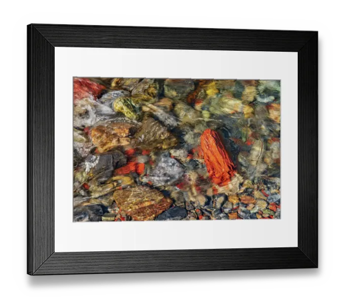 Framed Print : Canada, Alberta, Waterton Lakes National Park. Red Rock Creek in Red Rock Canyon Framed Print : Canada, Alberta, Waterton Lakes National Park. Red Rock Creek in Red Rock Canyon