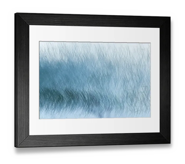 Framed Print : Canada, Alberta, Waterton Lakes National Park. Reed pattern on Maskinonge Lake in fog Framed Print : Canada, Alberta, Waterton Lakes National Park. Reed pattern on Maskinonge Lake in fog
