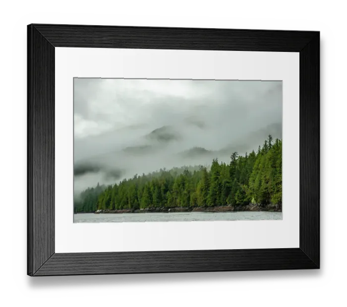 Framed Print : Canada, British Columbia, Inside Passage. Morning fog on forested mountain