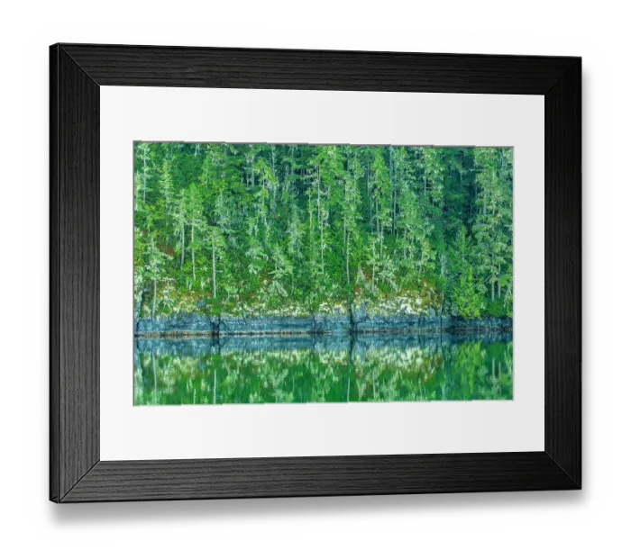 Framed Print : Canada, British Columbia, Inside Passage. Forest reflection in water Framed Print : Canada, British Columbia, Inside Passage. Forest reflection in water