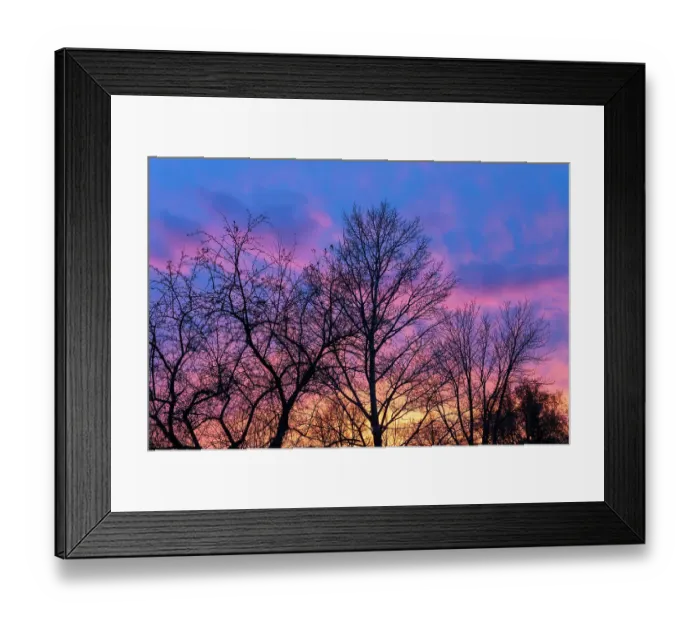 Framed Print : Canada, Manitoba, Winnipeg. Clouds and silhouetted trees at sunset