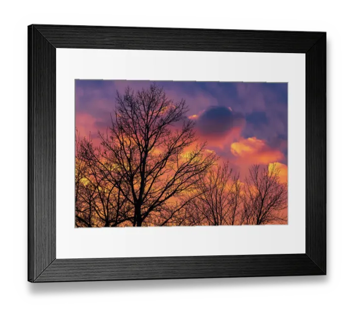 Framed Print : Canada, Manitoba, Winnipeg. Clouds and silhouetted trees at sunset