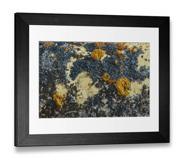 Framed Print : Canada, Manitoba, St. Lupicin. Close-up of rusted paint patterns on vintage car