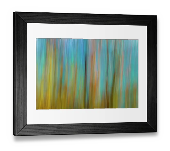 Framed Print : Canada, Manitoba, Winnipeg. Abstract of trees in Seine River Forest Framed Print : Canada, Manitoba, Winnipeg. Abstract of trees in Seine River Forest