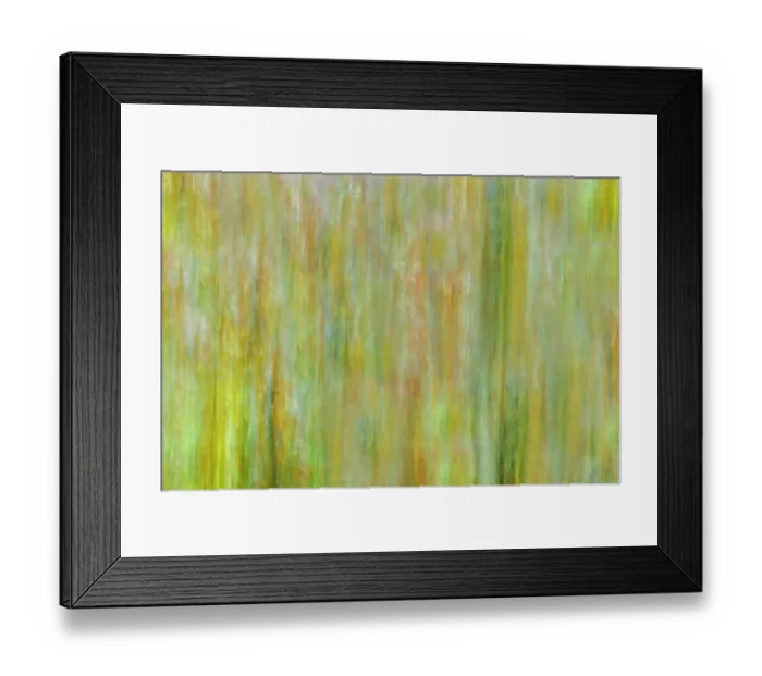 Framed Print : Canada, Manitoba, Winnipeg. Abstract of trees in Seine River Forest Framed Print : Canada, Manitoba, Winnipeg. Abstract of trees in Seine River Forest