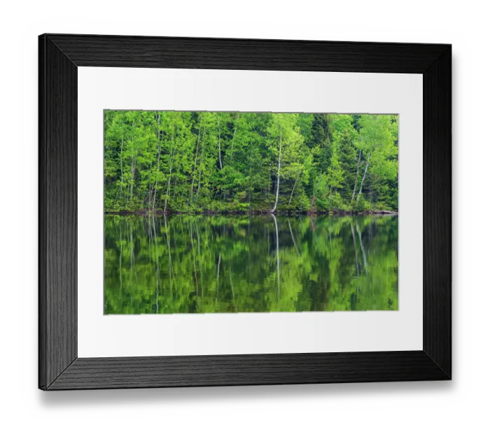 Framed Print : Canada, New Brunswick, Kouchibouguac National Park. Spring forest reflections in lake Framed Print : Canada, New Brunswick, Kouchibouguac National Park. Spring forest reflections in lake