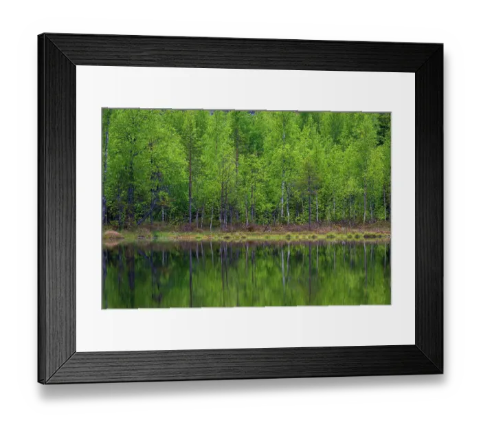 Framed Print : A scenic view of trees on a lake shore. Kuhmo, Oulu, Finland