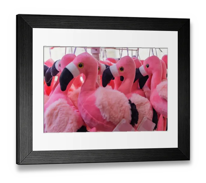 Framed Print : Saintes-Maries-de-la-Mer, Bouches-du-Rhone, Provence-Alpes-Cote d'Azur, France. Pink flamingo plushies for sale in the Camargue Framed Print : Saintes-Maries-de-la-Mer, Bouches-du-Rhone, Provence-Alpes-Cote d'Azur, France. Pink flamingo plushies for sale in the Camargue