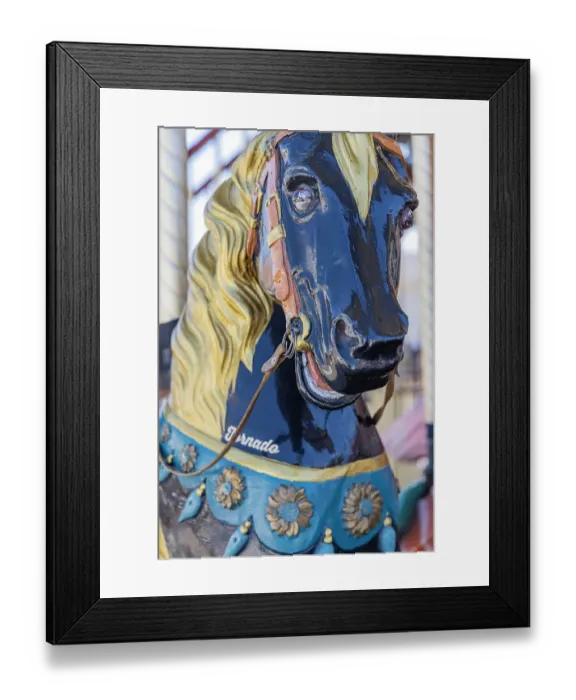 Framed Print : Saintes-Maries-de-la-Mer, Bouches-du-Rhone, Provence-Alpes-Cote d'Azur, France. Carousel horse. (Editorial Use Only) Framed Print : Saintes-Maries-de-la-Mer, Bouches-du-Rhone, Provence-Alpes-Cote d'Azur, France. Carousel horse. (Editorial Use Only)