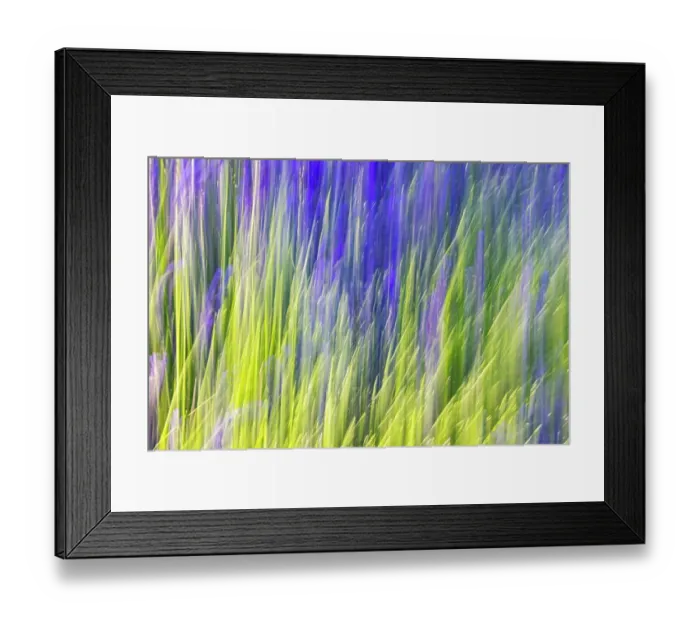 Framed Print : Aurel, Vaucluse, Alpes-Cote d'Azur, France. Motion blur view of a lavender field Framed Print : Aurel, Vaucluse, Alpes-Cote d'Azur, France. Motion blur view of a lavender field