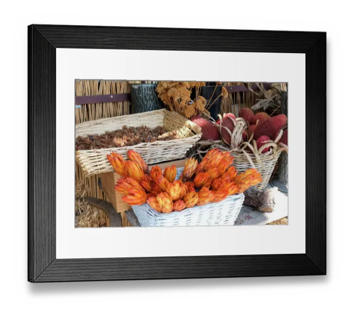 Framed Print : Munich, Germany. Farmers market. Fall dried flowers Framed Print : Munich, Germany. Farmers market. Fall dried flowers