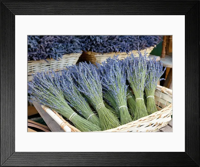 Framed Print : Munich, Germany. Farmers market. Basket of dried lavender Framed Print : Munich, Germany. Farmers market. Basket of dried lavender