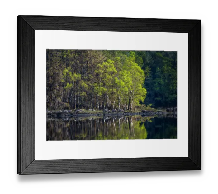 Framed Print : Ireland. Forest and rock shore reflections on Lake Cummeenduff Framed Print : Ireland. Forest and rock shore reflections on Lake Cummeenduff
