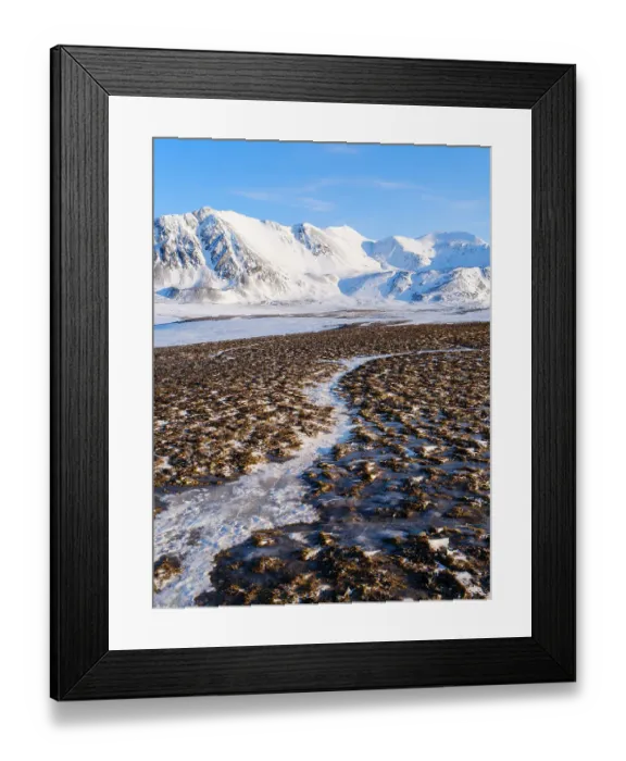 Framed Print : Coastal plain of Nordenskiold Coast. Landscape in Van Mijenfjorden National Park, (former Nordenskiold National Park), Island of Spitsbergen. Arctic region, Scandinavia, Norway, Svalbard Framed Print : Coastal plain of Nordenskiold Coast. Landscape in Van Mijenfjorden National Park, (former Nordenskiold National Park), Island of Spitsbergen. Arctic region, Scandinavia, Norway, Svalbard