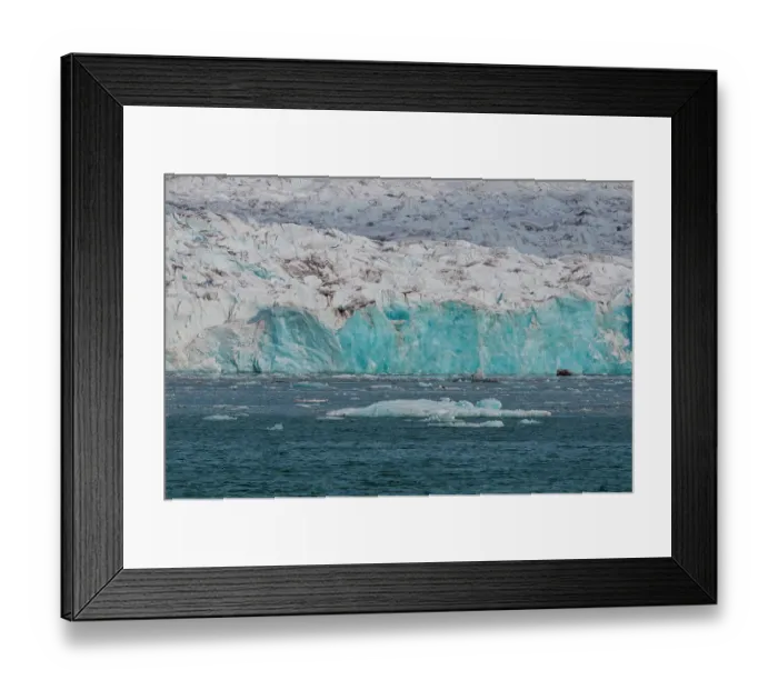 Framed Print : Walruses in the distance on ice floe fronting a glacier on Kongsfjorden near Ny-Alesund. Kongsfjorden, Spitsbergen Island, Svalbard, Norway