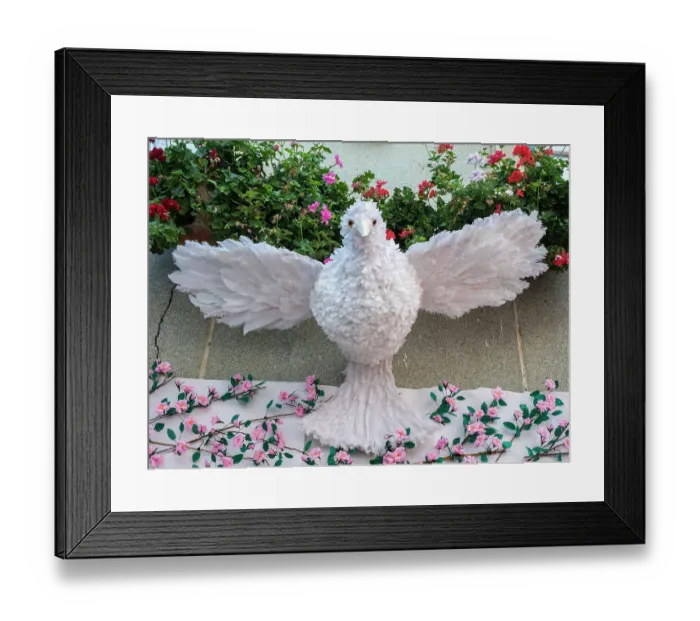 Framed Print : A white dove made of feathers, symbolizing the Holy Spirit. Festa dos Tabuleiros is one of the most important celebrations in Portugal Framed Print : A white dove made of feathers, symbolizing the Holy Spirit. Festa dos Tabuleiros is one of the most important celebrations in Portugal