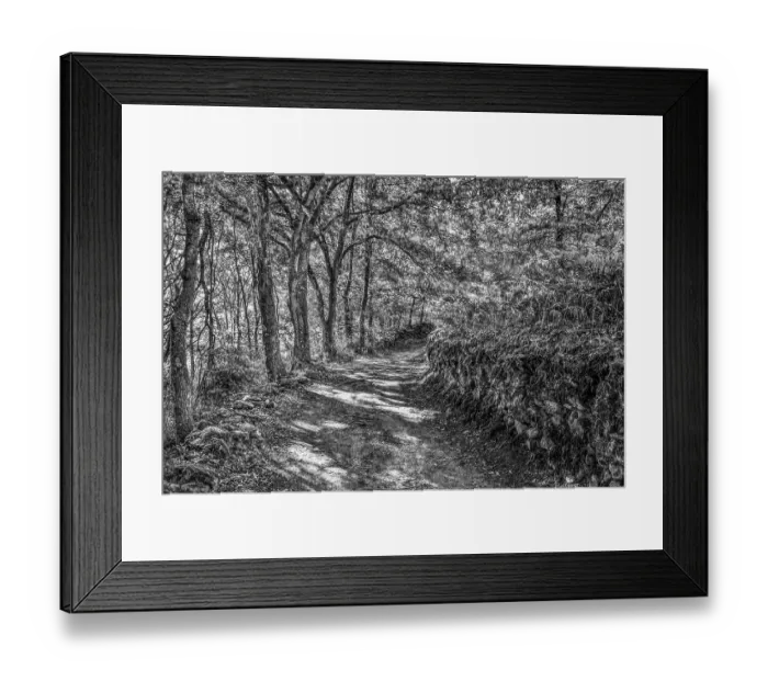 Framed Print : Spain, Galicia. Camino de Santiago (Way of St. James) in Galicia between Vilei and Morgade