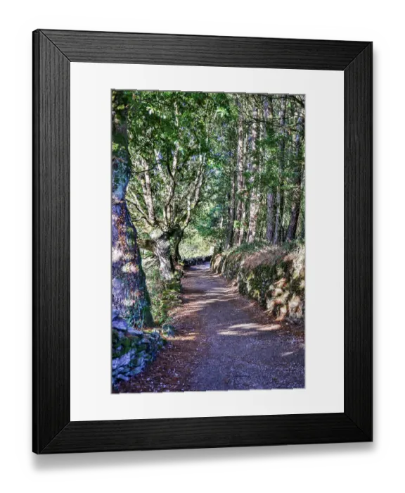 Framed Print : Spain, Galicia. Foggy morning on the Camino de Santiago between Morgade and Portomarin Framed Print : Spain, Galicia. Foggy morning on the Camino de Santiago between Morgade and Portomarin