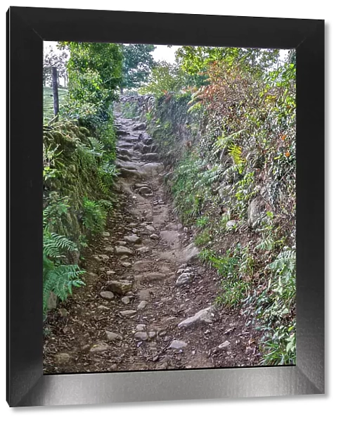 Spain, Galicia. Rocky path on the Camino de Santiago (Way of St. James) between Ventras de Naron and Palas de Rei
