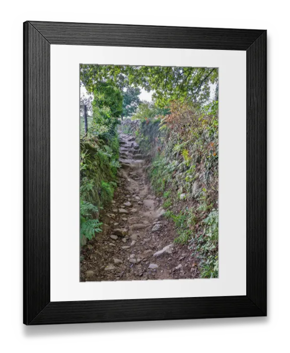 Framed Print : Spain, Galicia. Rocky path on the Camino de Santiago (Way of St. James) between Ventras de Naron and Palas de Rei