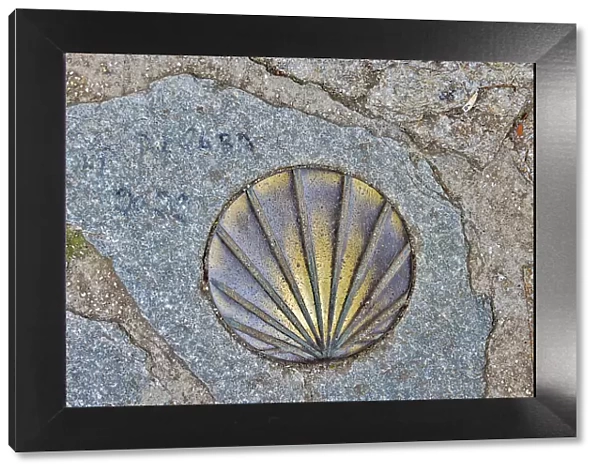 Spain, Galicia. Brass scallop shell to point the way on the Camino de Santiago