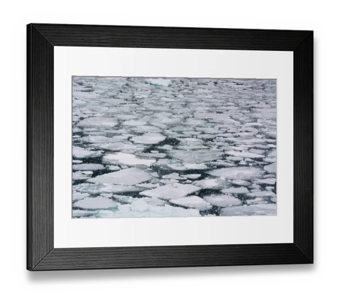 Framed Print : Pack ice in Disko Bay during a snow storm. Ilulissat, Greenland Framed Print : Pack ice in Disko Bay during a snow storm. Ilulissat, Greenland