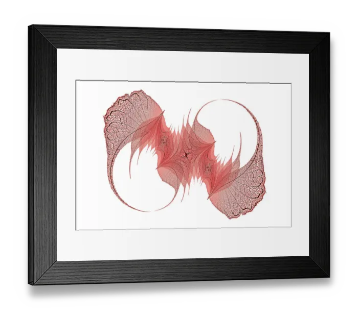Framed Print : Red colored skeleton leaves arranged on black background Framed Print : Red colored skeleton leaves arranged on black background