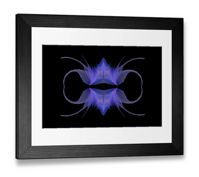 Framed Print : Blue and pink colored skeleton leaves arranged on black background Framed Print : Blue and pink colored skeleton leaves arranged on black background