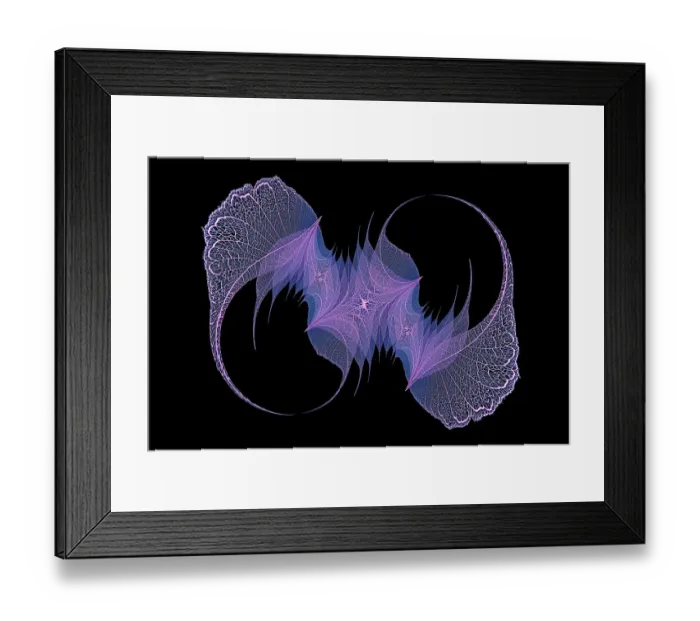 Framed Print : Blue and purple colored skeleton leaves arranged on black background Framed Print : Blue and purple colored skeleton leaves arranged on black background