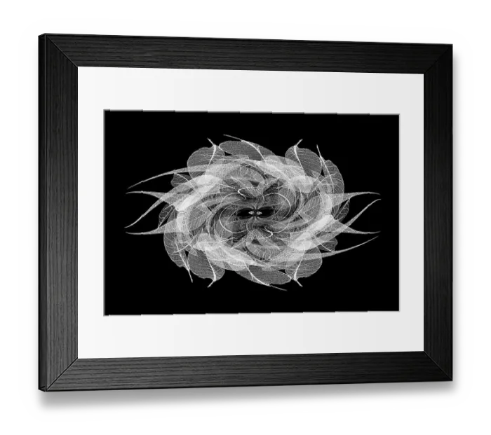 Framed Print : Black and white skeleton leaves arranged on black background Framed Print : Black and white skeleton leaves arranged on black background