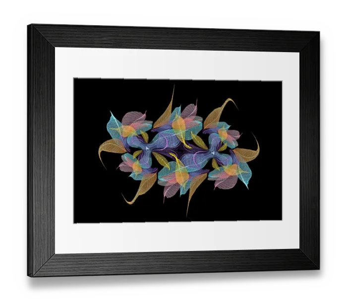 Framed Print : Multi-colored skeleton leaves arranged on black background Framed Print : Multi-colored skeleton leaves arranged on black background