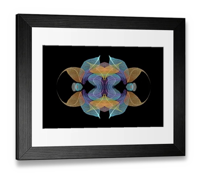 Framed Print : Multi-colored skeleton leaves arranged on black background