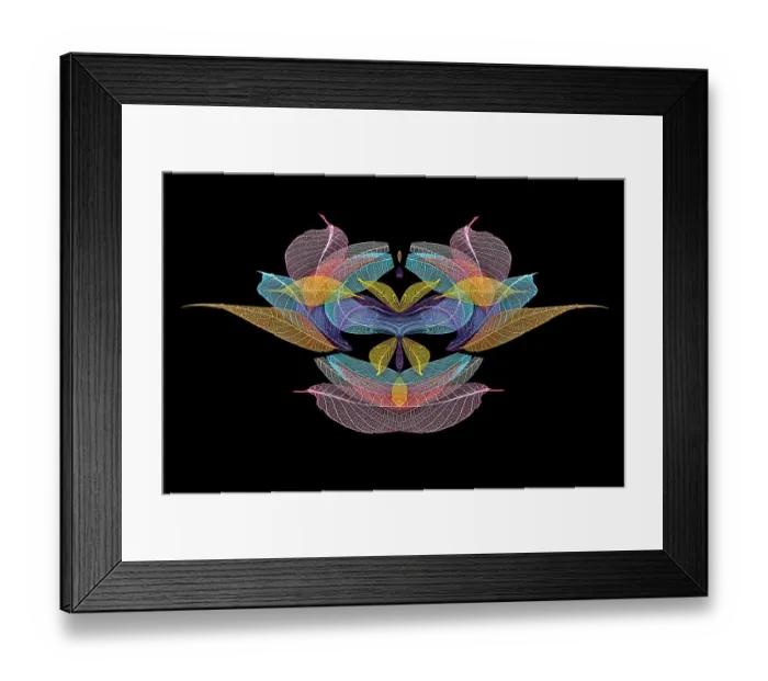 Framed Print : Multi-colored skeleton leaves arranged on black background