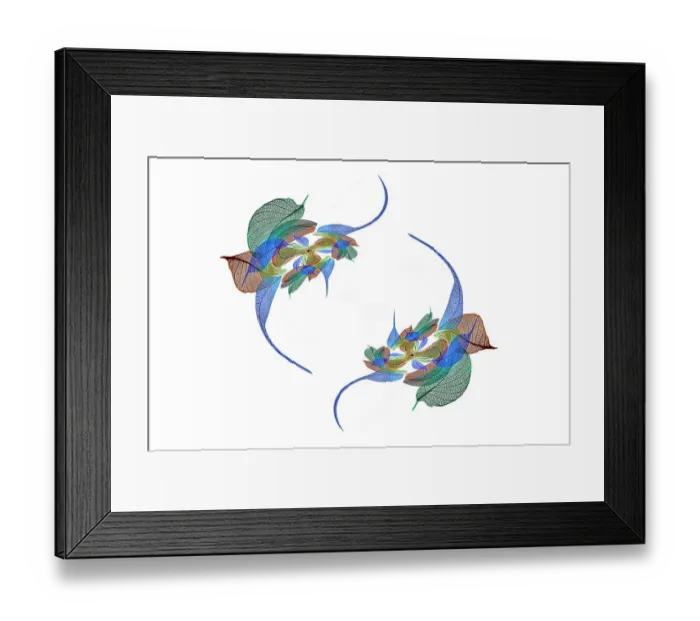 Framed Print : Multi-colored skeleton leaves arranged on white background Framed Print : Multi-colored skeleton leaves arranged on white background