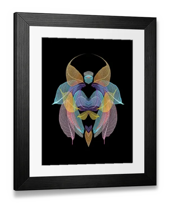 Framed Print : Multi-colored skeleton leaves arranged on black background Framed Print : Multi-colored skeleton leaves arranged on black background